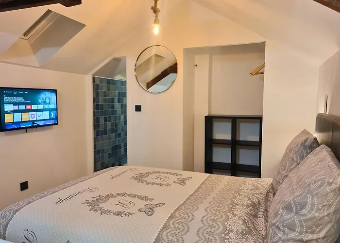 Escale Au Coeur Du Mans, Entre Gare Et Centre Apartamento *